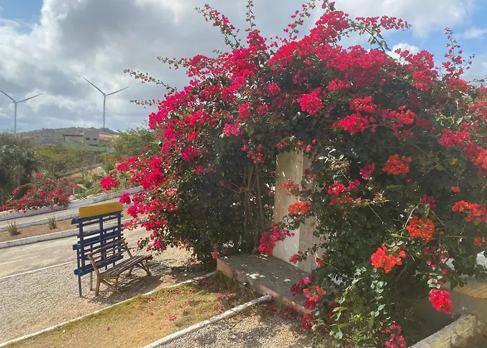 Encanto dos Pássaros