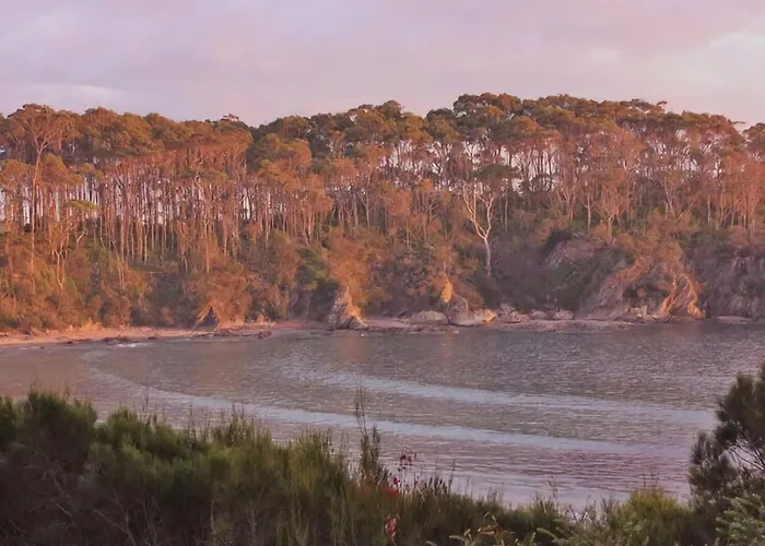 Ocean Views Walk To Malua Beach Ev & Pet Friendly