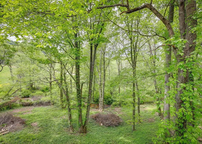 Charming Cabin W/ Wraparound Deck In Blue Ridge!