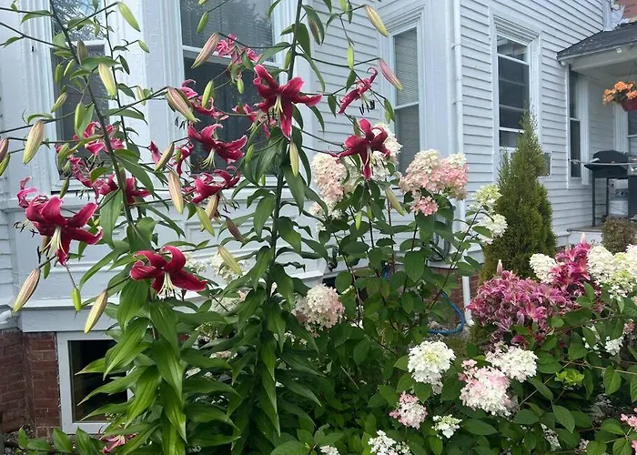 Discover Downeast Maine-Classic Comfortable Apt 2