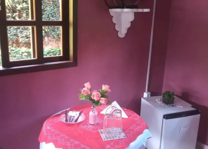 Suíte WILVIT