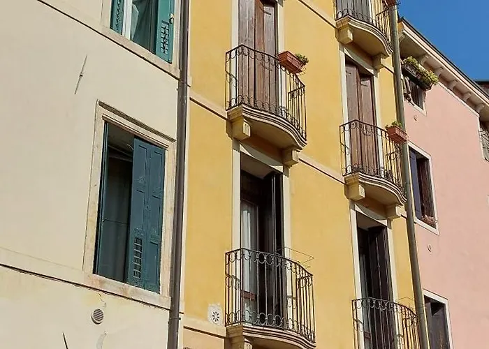 Studio Rosa