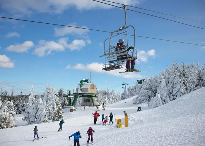 Ml147 Fresh Fun 1Br Sleeps 4 Near Village Slope Access Wi-Fi Ez Park No Steps