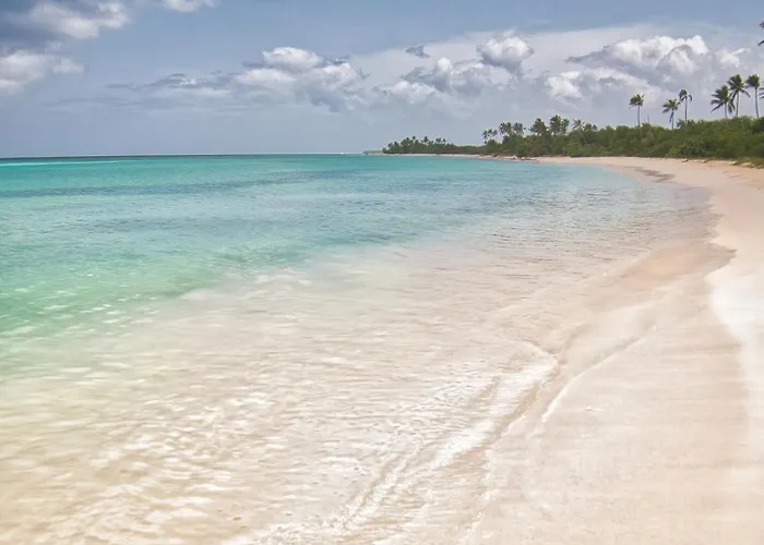A Caribbean-Style Rebirth, 2 Minutes From The Beach