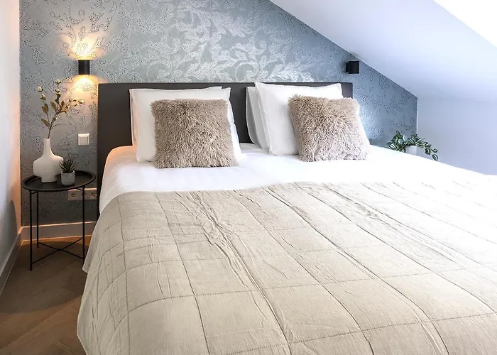 Newly Renovated Xl Home City Center