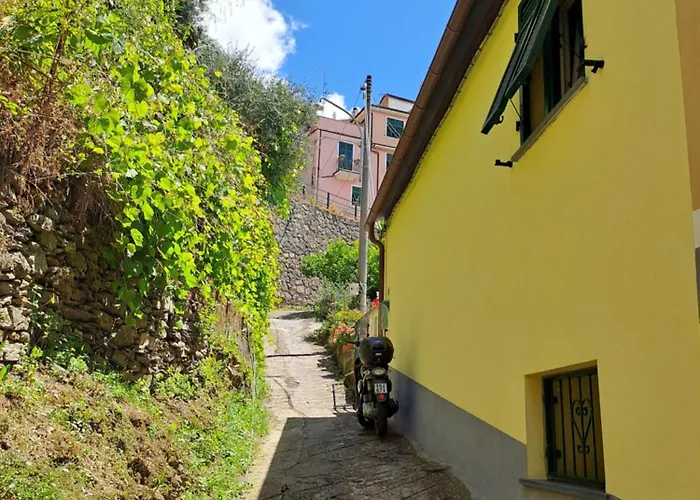 Casa Ela