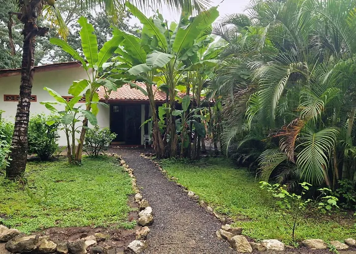 Villas Jungle 5