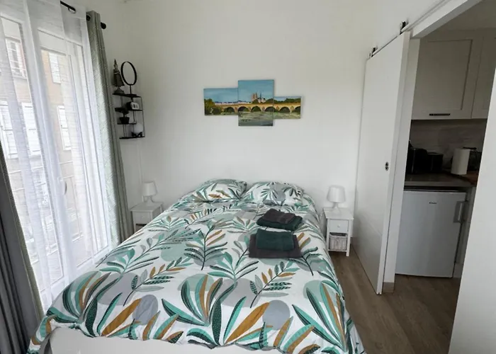 Cosy Loire, T2 Neuf, Front De Loire ,Vue Cathedrale,5Min A Pied Centre Ville Et Parking Prive