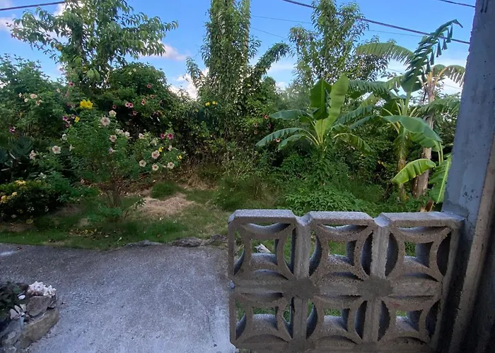 Coconut House Charlestown Nevis