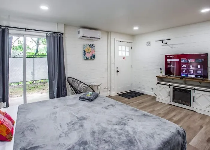 Newly Renovated Bright Studio