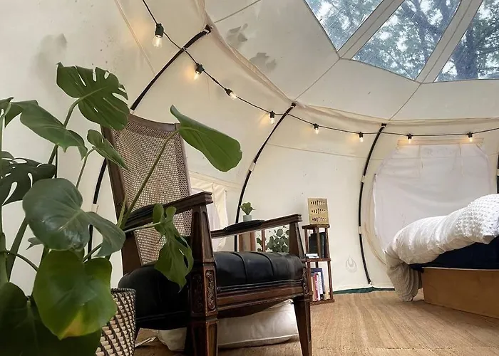 The Hideout - Stargazing Glamping Swim Oasis