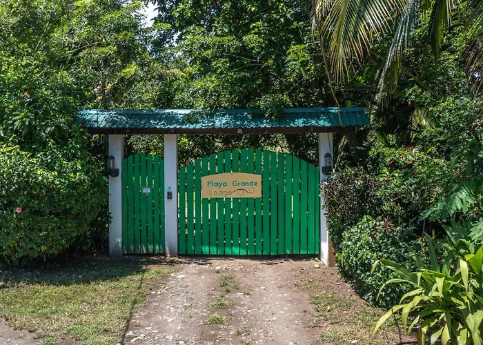 Playa Grande Lodge & Tree House