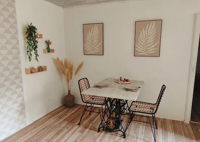 La Casaflo Cocon Climatise Au Coeur De L'Occitanie
