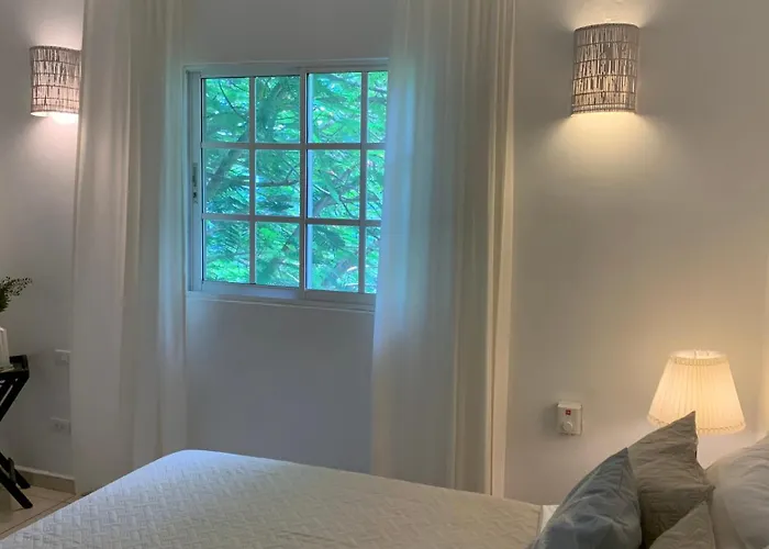 Beachfront Unit With Stunning Sunsets And Starlink Internet !