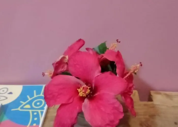 POUSADA IPIRÃTÃ - Turismo de Vivência Cultural