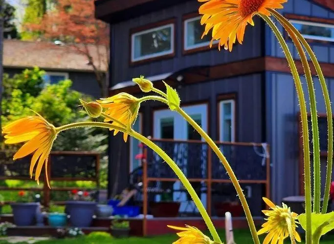 Tiny House With Hot Tub, Close To Golf, Beaches And Nature!