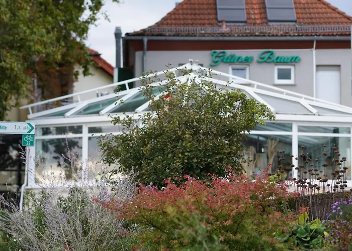 Zum Gruenen Baum Hotel Frankfurt Airport