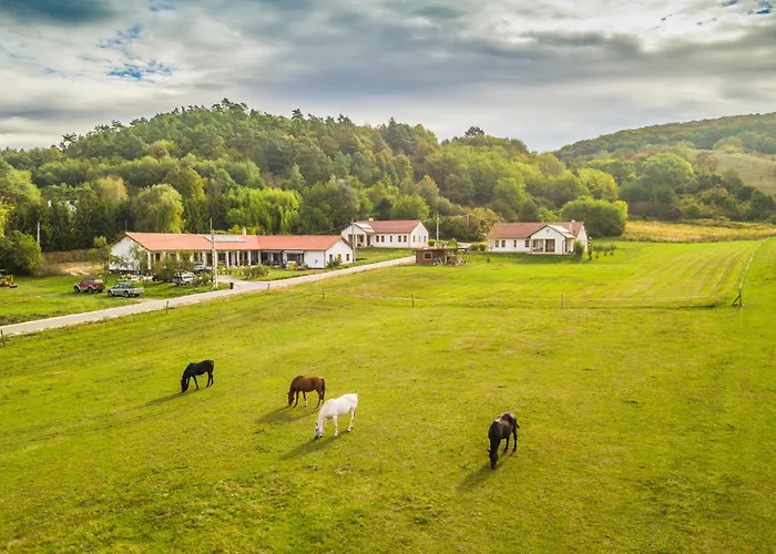 Banvoelgye Vendeghaz Es Apartmanok