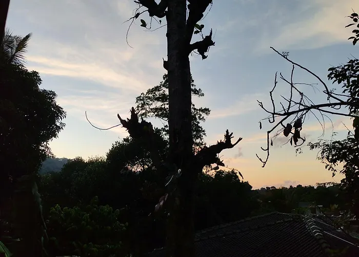 Lalanga Homestay