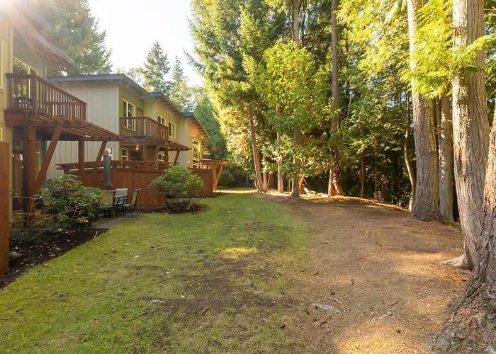 Pacific Forest Beach House