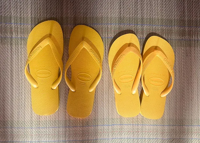 La vita hospedaria studio amarelo