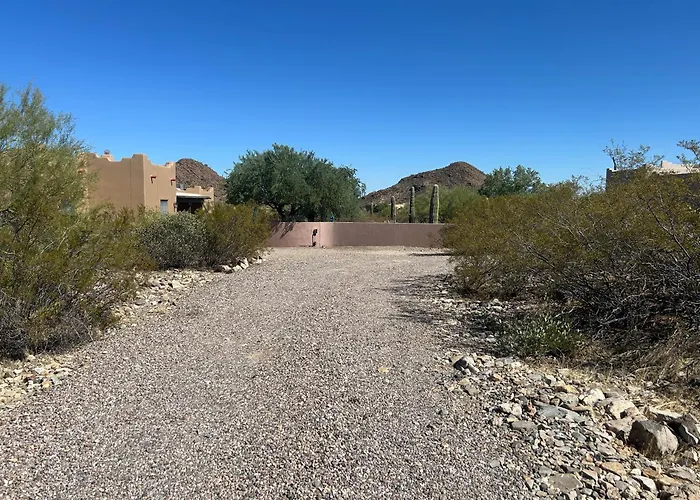 Tucson Mnt Foothills Saguaro Bliss