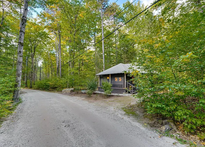 Rustic Cabin W/ Squam Lake Access & Fireplace!