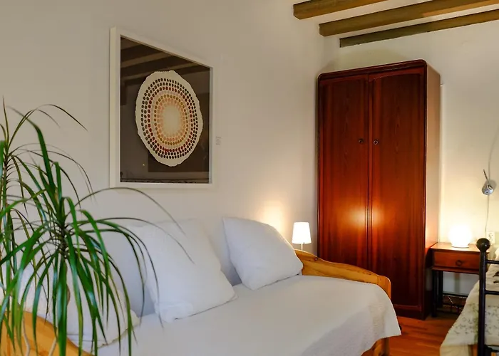 Rhein River Guesthouse - Direkt Am Rhein
