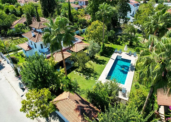 Villa Misli - Red/ Green