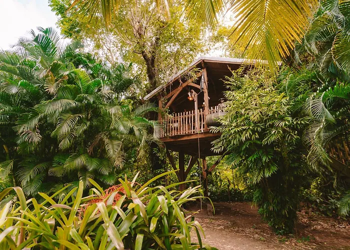 West Indies Cottage, Cottages Haut De Gamme Avec Piscine, Jacuzzi Et Vue Jungle
