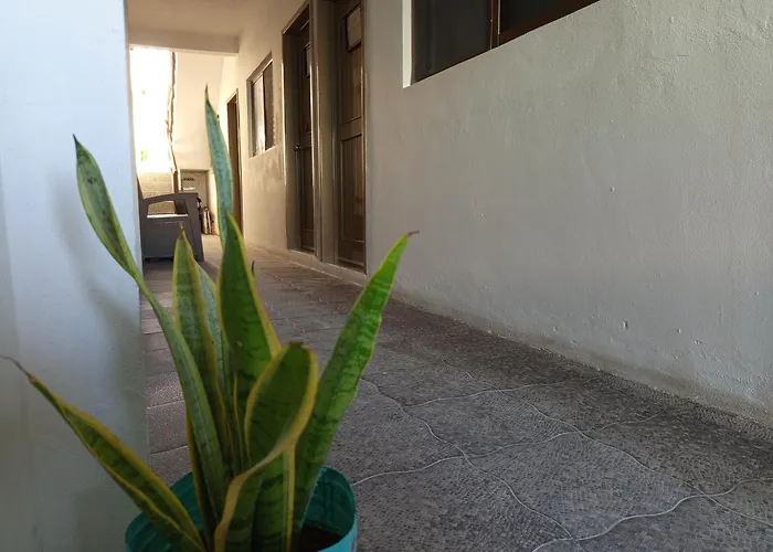 Mi Habitat Holbox-Maravilla Natural