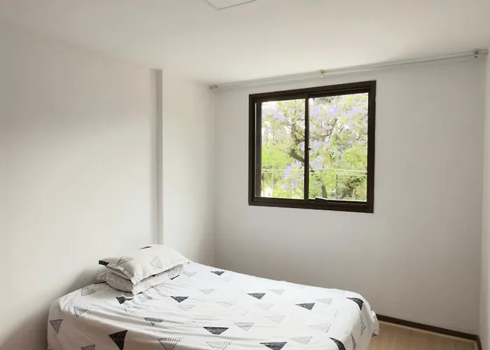 Curitiba Central Room