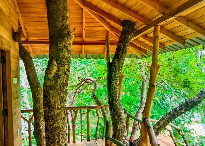 Lotus Eco Villa