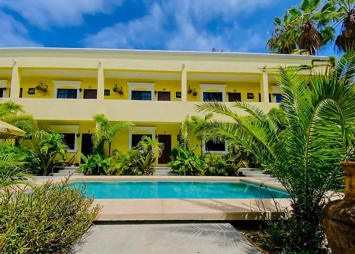 Gallo Azul Hotel, En El Corazon De Todos Santos