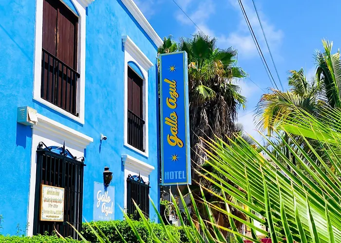 Gallo Azul Hotel, En El Corazon De Todos Santos