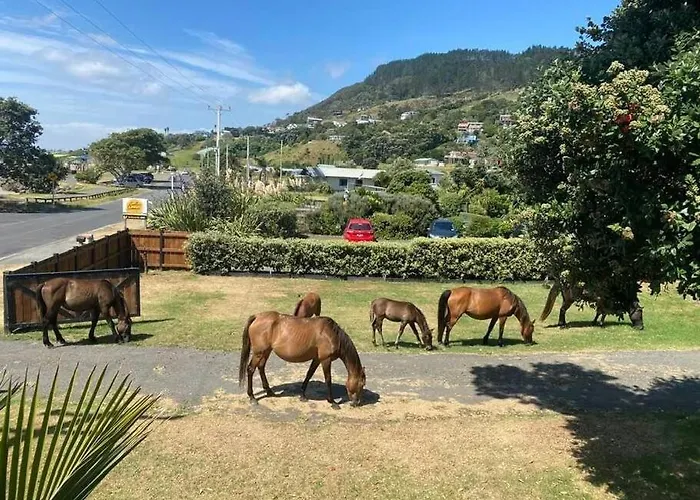 Ahipara Beach Front, Modern Stylish Bach