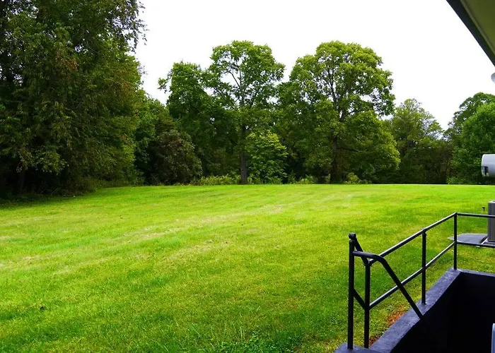 Spacious Pet Friendly Home
