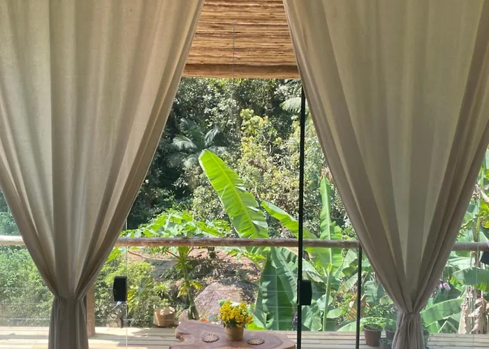 Jungle Paradise In Paraty