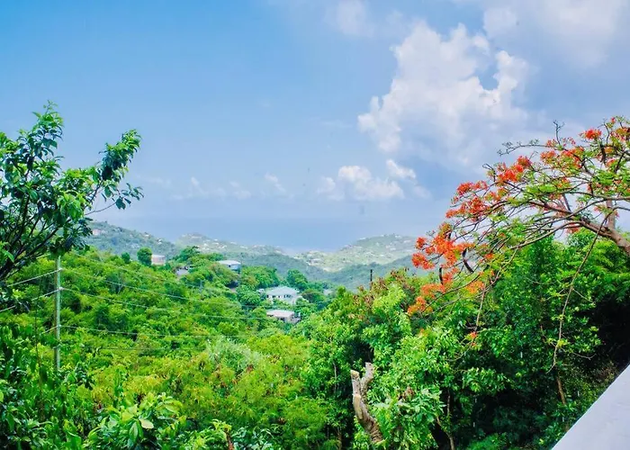 St John Usvi Hillside Villa 7 Min Drive To Cruz Bay