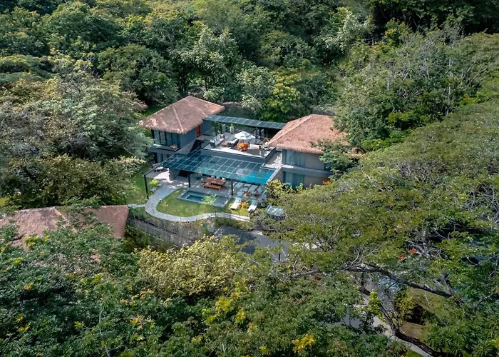 El Mangroove Papagayo, Autograph Collection