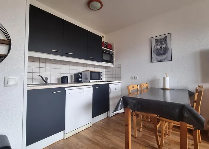 Puy Saint Vincent Appartement T2 Balcon Super Panorama Avec Parking Prive Couvert Et Piscine L'Ete