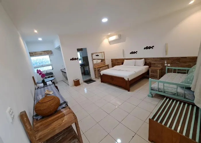 Lavender Star House