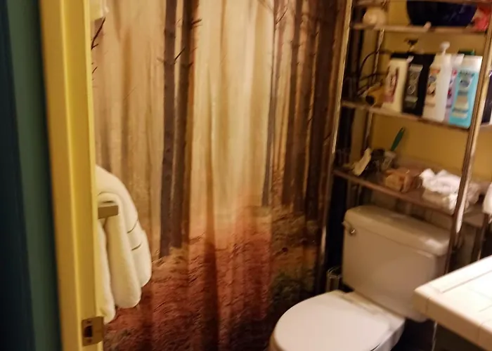 Randy'S Roost