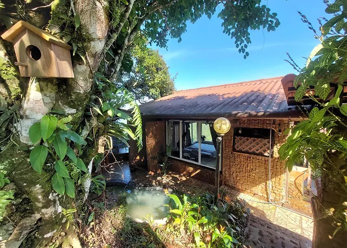 Mandalas Ecolodge Ecotourismo Altos Cerro Azul, Rain Forest Natural,Chagres National Park