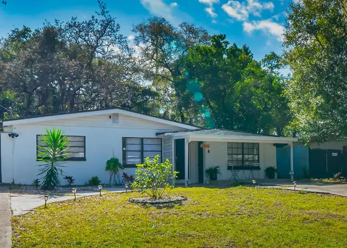 Cozy Apartment Near Busch Gardens Adventure Island And Usf