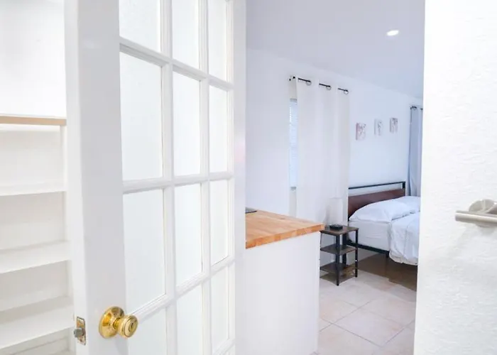 Cozy Apartment Near Busch Gardens Adventure Island And Usf