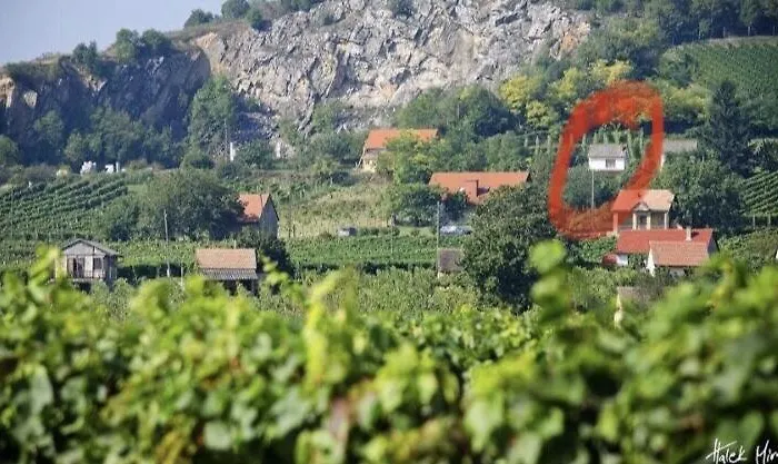 Boraszporta - Preshaz