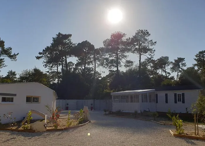 Gite 2 A 4 Pers Les Pommes De Pin Les Mathes La Palmyre Proche Zoo Et Plages
