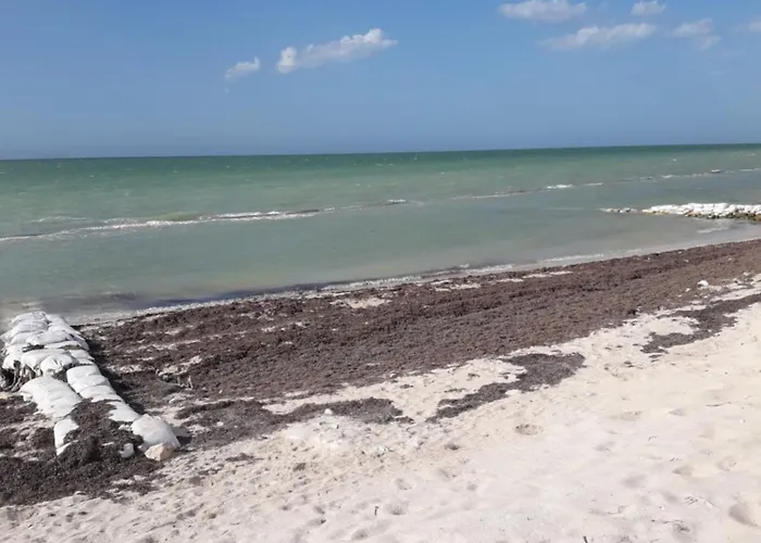 Casa Pepe Vacation Rental Progreso
