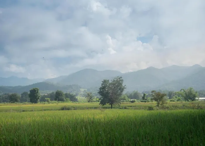 Camp View Mountain - Sell Experience By Paddy Fields Haven - Natures Nest